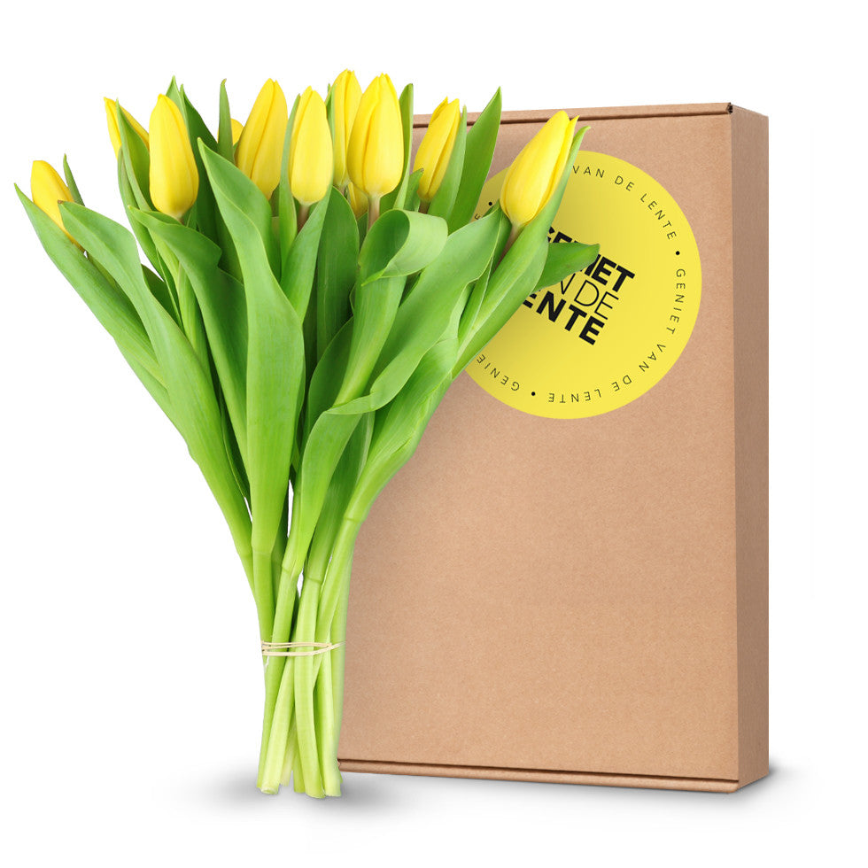 Fleurtjedag brievenbustulpen geel