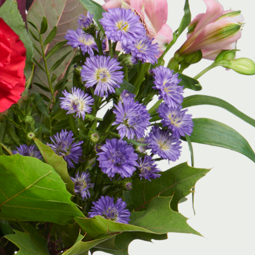 Fleurtjedag bloemen Mieke