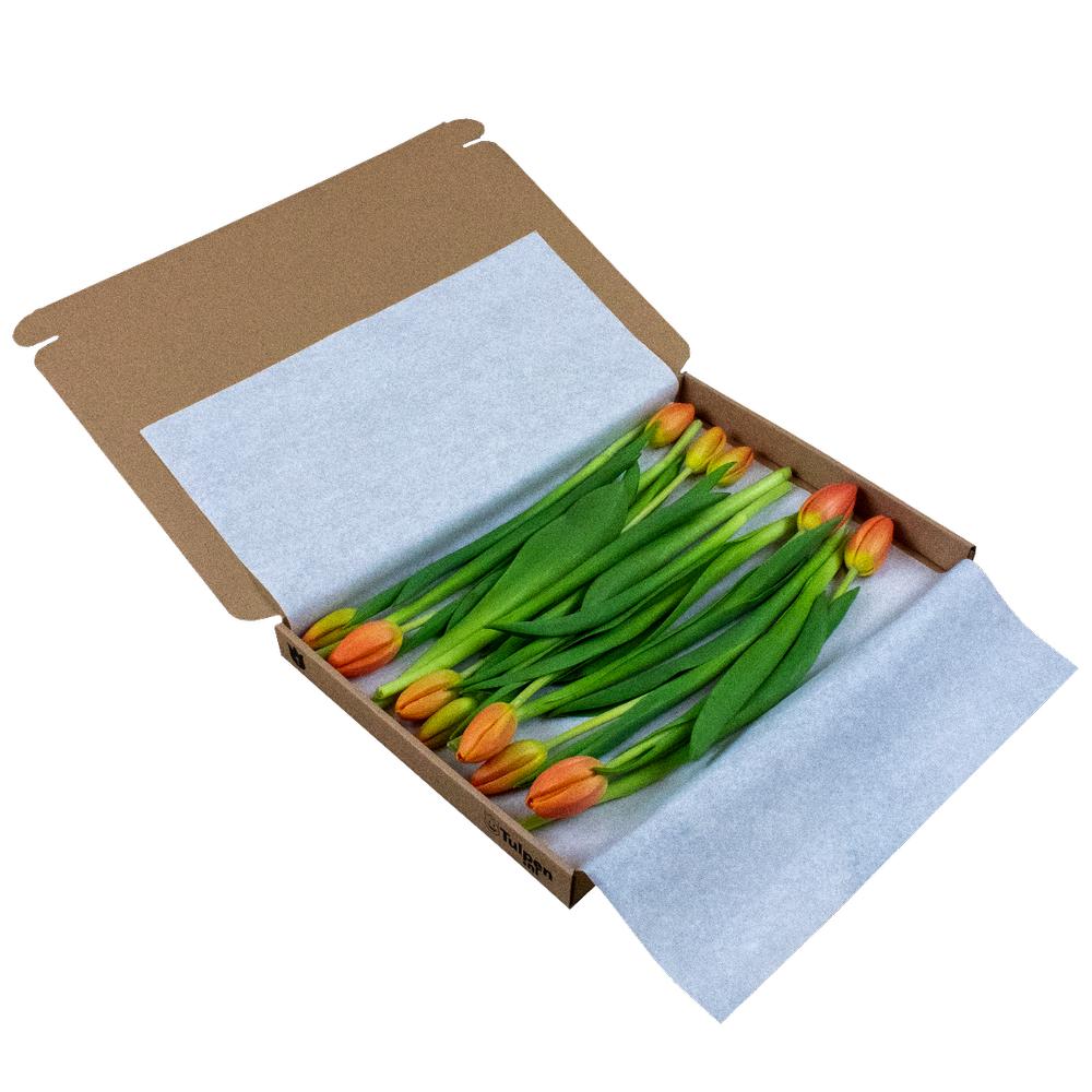 Fleurtjedag brievenbusbloemen oranje