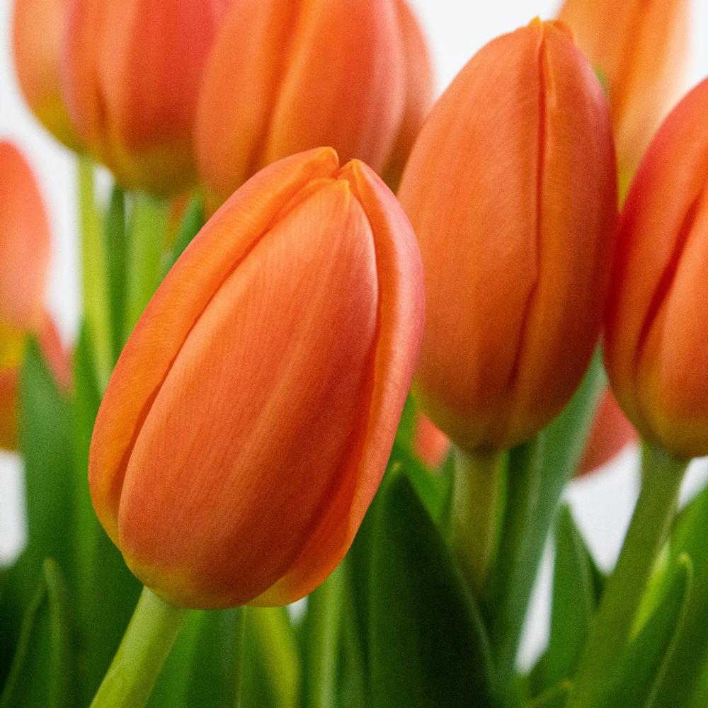 Fleurtjedag brievenbusbloemen oranje