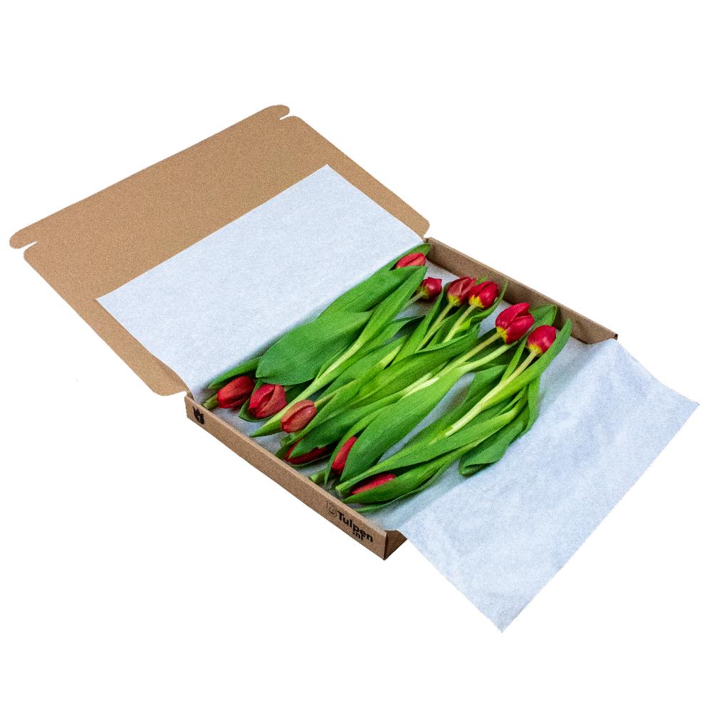 Fleurtjedag brievenbusbloemen rode tulpen